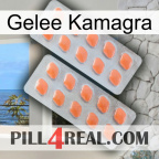 Jelly Kamagra 27